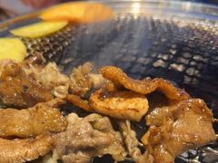 -韩味园果木炭烤鲜肉(陵东街店)