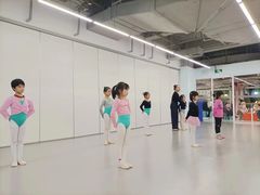 -舞蕾舞蹈·专注中国舞18年(天通苑中心校区)