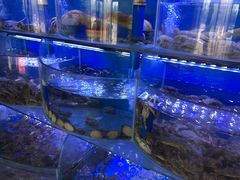 水产区-鼓歌海鲜舫·手抓海鲜(大学城店)