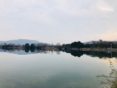 -啊臻味道米粉(义乌店)