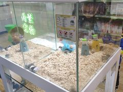 -万达广场(大明宫店)