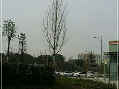 -望江楼公园