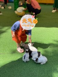 -萌宠亲子动物乐园(槐房万达店)