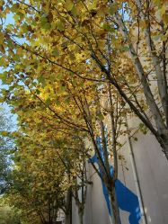 -G-STEPS舞蹈工作室