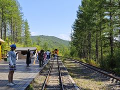 -莫尔道嘎国家森林公园