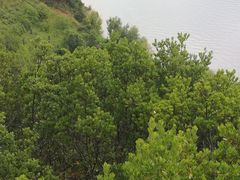 -丽江泸沽湖景区-里格半岛