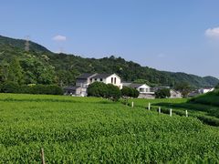 -随意茶庄·地道杭帮农家菜(梅家坞店)