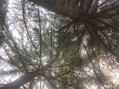 iphone_upload_pic-香山寺