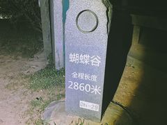 -梧桐山风景名胜区