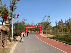 -上海长兴岛郊野公园