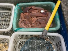 -海景壹号大酒店(惠钱路店)