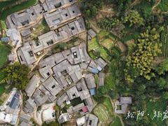 -杨家堂村