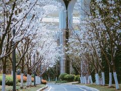-锦江乐园(地铁站)