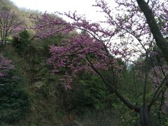 -老君洞旅游度假区