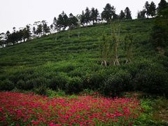 -南北湖风景区