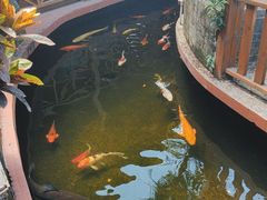 -侠成水上农庄(工业大道店)
