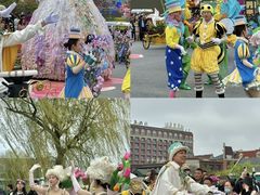 -荷兰花海