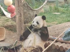 -大连森林动物园