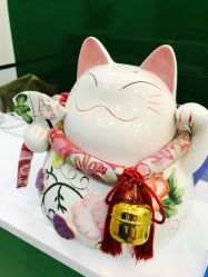 -苗医生专业祛痘·皮肤管理