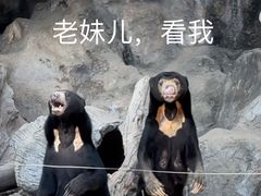 -清迈夜间动物园