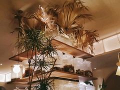 -来龙里 精致 东南亚餐室(万象城店)