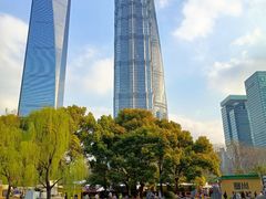 -陆家嘴中心绿地