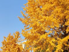 -苏州河梦清园环保主题公园