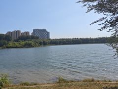 -丁香湖公园
