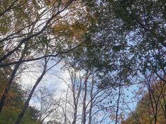 -濂泉响谷