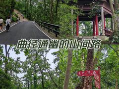 -岳麓山风景名胜区