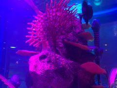 -沈阳海洋探索中心