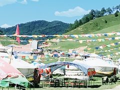 -关山草原