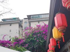 -院8里·少城记忆老川菜(宽窄巷子店)