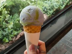 -Dal Cuore 达可芮冰淇淋(陕西北路店)
