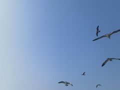 -星海广场