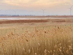 -野鸭湖国家湿地公园