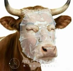 点击看大图 -MLP美丽派·问题肌疗愈中心