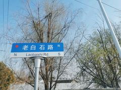 -上海都市菜园