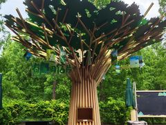 -黄海国家森林公园