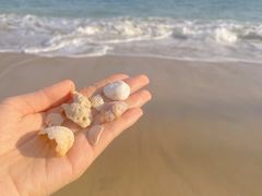 -三亚海棠湾万丽度假酒店