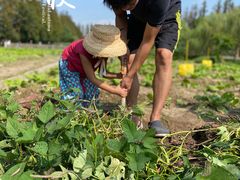 -前小桔亲子创意农场·草莓采摘·露营烧烤