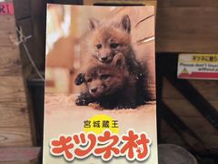 -宫城藏王狐狸村