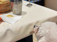 -盘炉forenza·云贵川融合小食堂 ( 钟楼中柳巷店)