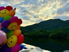 -龙坞茶村