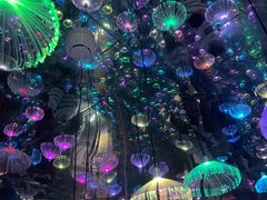 -梵高星空艺术馆(北京旗舰店)