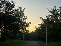 -白鹭湾湿地公园