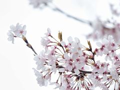 -龙美术馆西岸馆-停车场