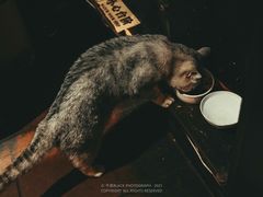 -不舍昼夜咖啡馆