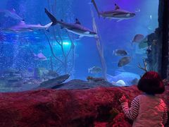 -沈阳海洋探索中心