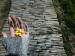 -贵阳市花溪国家城市湿地公园